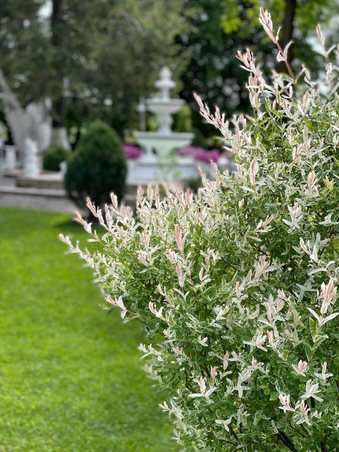 Provans Bohorodchany Dış mekan fotoğraf